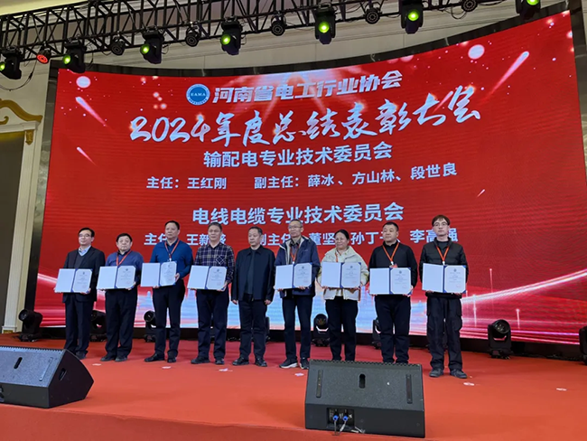 索凌電氣榮獲河南省電工行業(yè)雙優(yōu)稱號(hào)， 持續(xù)助力電力行業(yè)發(fā)展